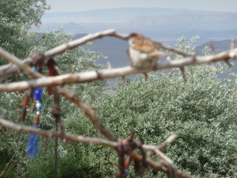 P1040614.JPG 3456x2592 index 370